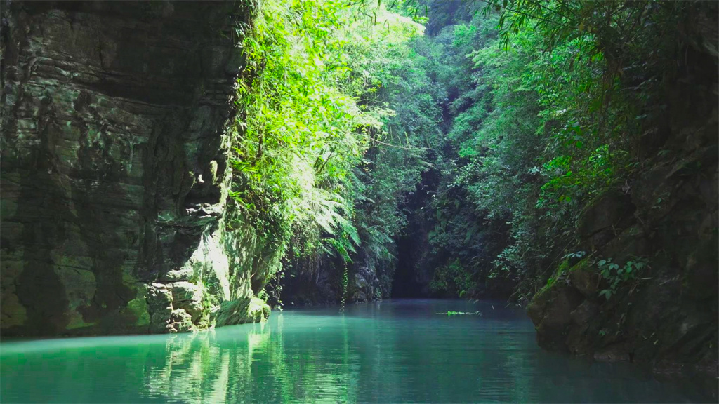 雪宝山十宝之百里峡谷(图2)